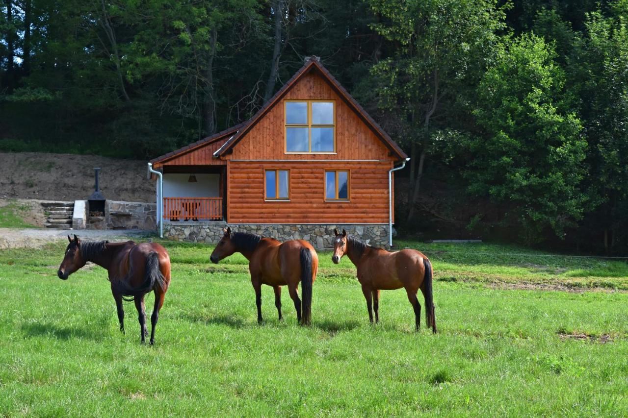 Ubytování Ranč Malenitz Esterno foto